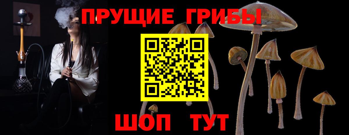 Нововоронеж  Галлюциногенные грибы мицелий  Вход с VPN  Псилоцибиновые грибы Psilocybine cubensis 